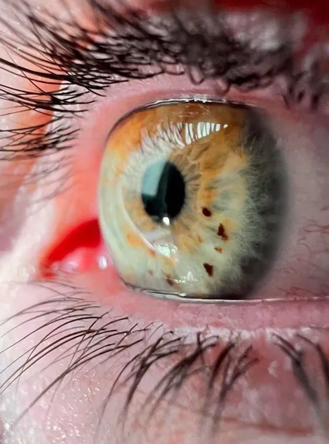 Een menselijk oog van heel dichtbij, met de iris en de wimpers scherp