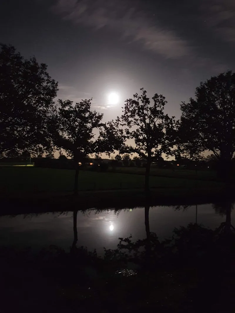 Volle maan achter wolken boven bomen die in stil water weerspiegelen