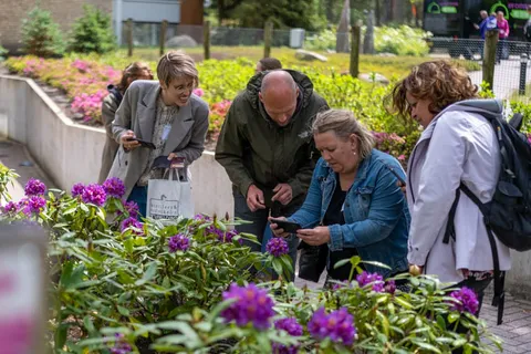 Deelnemers buigen zich met hun telefoon over bloemen in een tuin